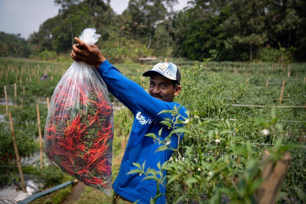 As Agritech Startups Look To Unlock Indonesias Farming Potential One