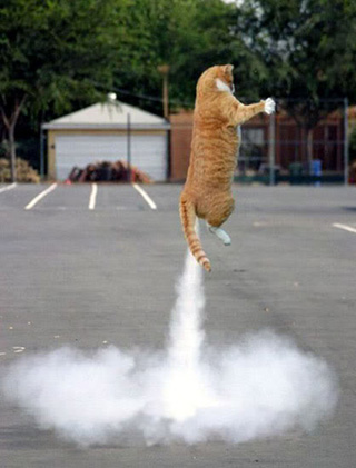 rocket-kitty rocket-kitty