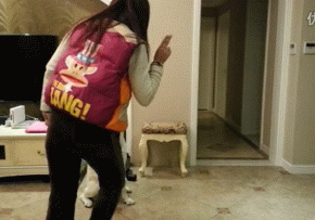aircraft carrier launch GIF