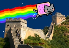 GFW-Nyan-Cat, small
