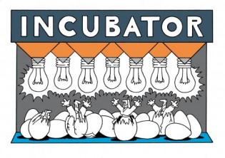 incubators indonesia incubators indonesia
