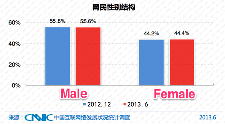 CNNIC China web and mobile user data for 2013
