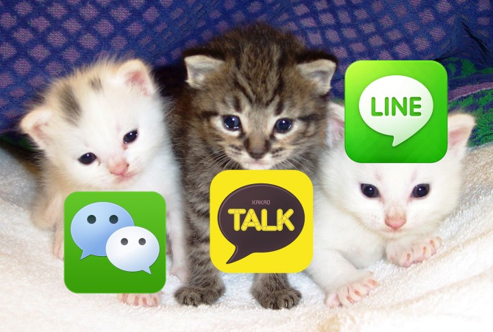 kakaotalk wechat line cats