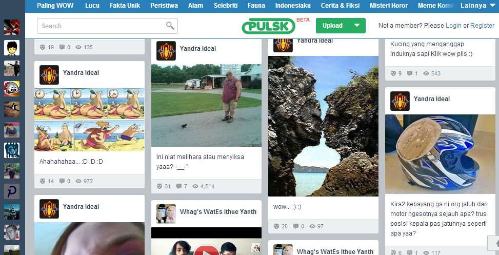 pulsk