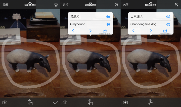 Baidu Image Tapir
