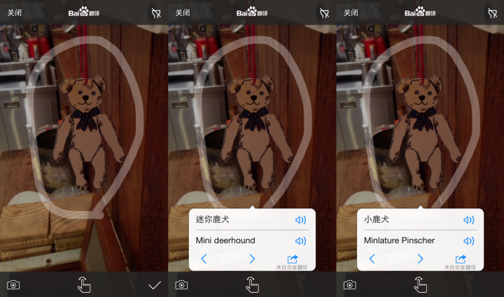 Baidu Image Teddy Bear