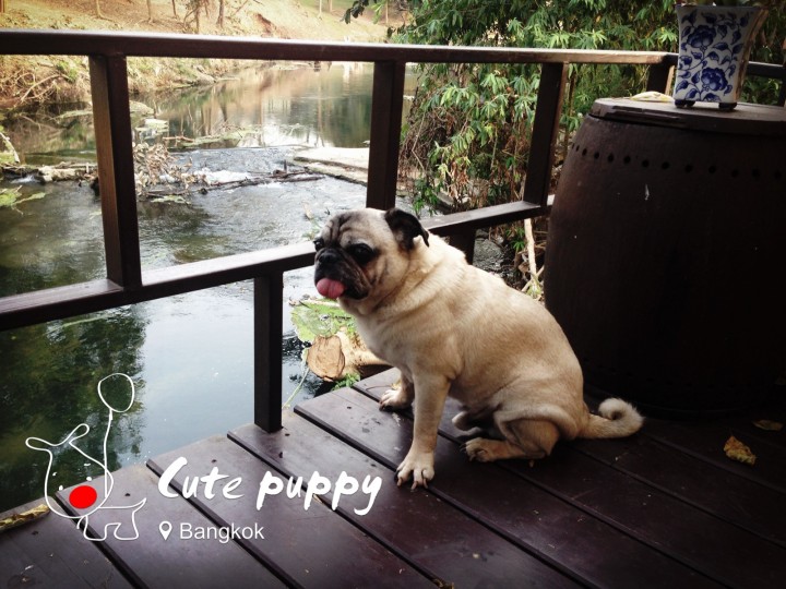 WeChat StoryCam Photo editing sharing