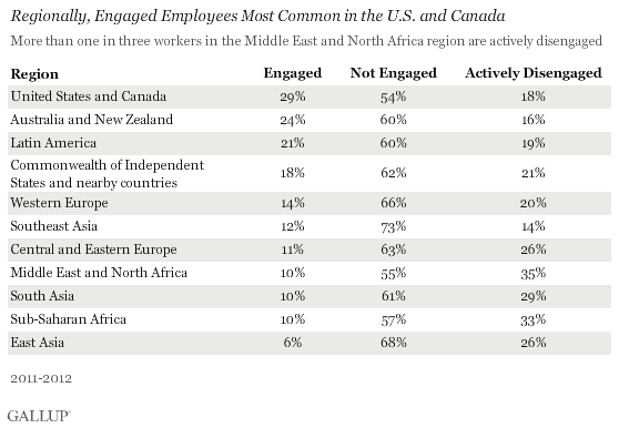 gallup office productivity
