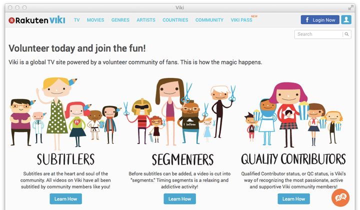 viki volunteers