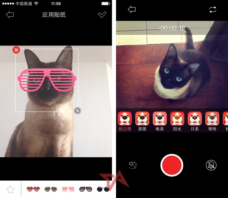 SmellMe app for pet owners in China