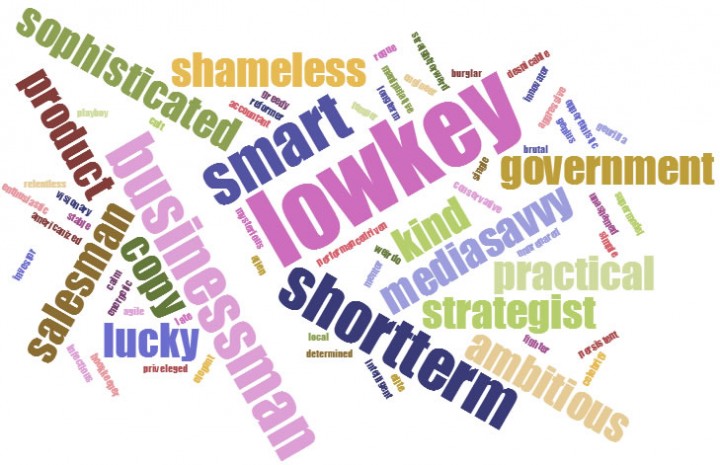 china ceo wordcloud