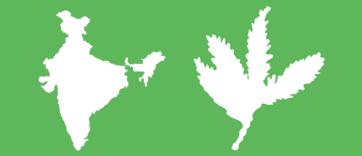 india sequoia