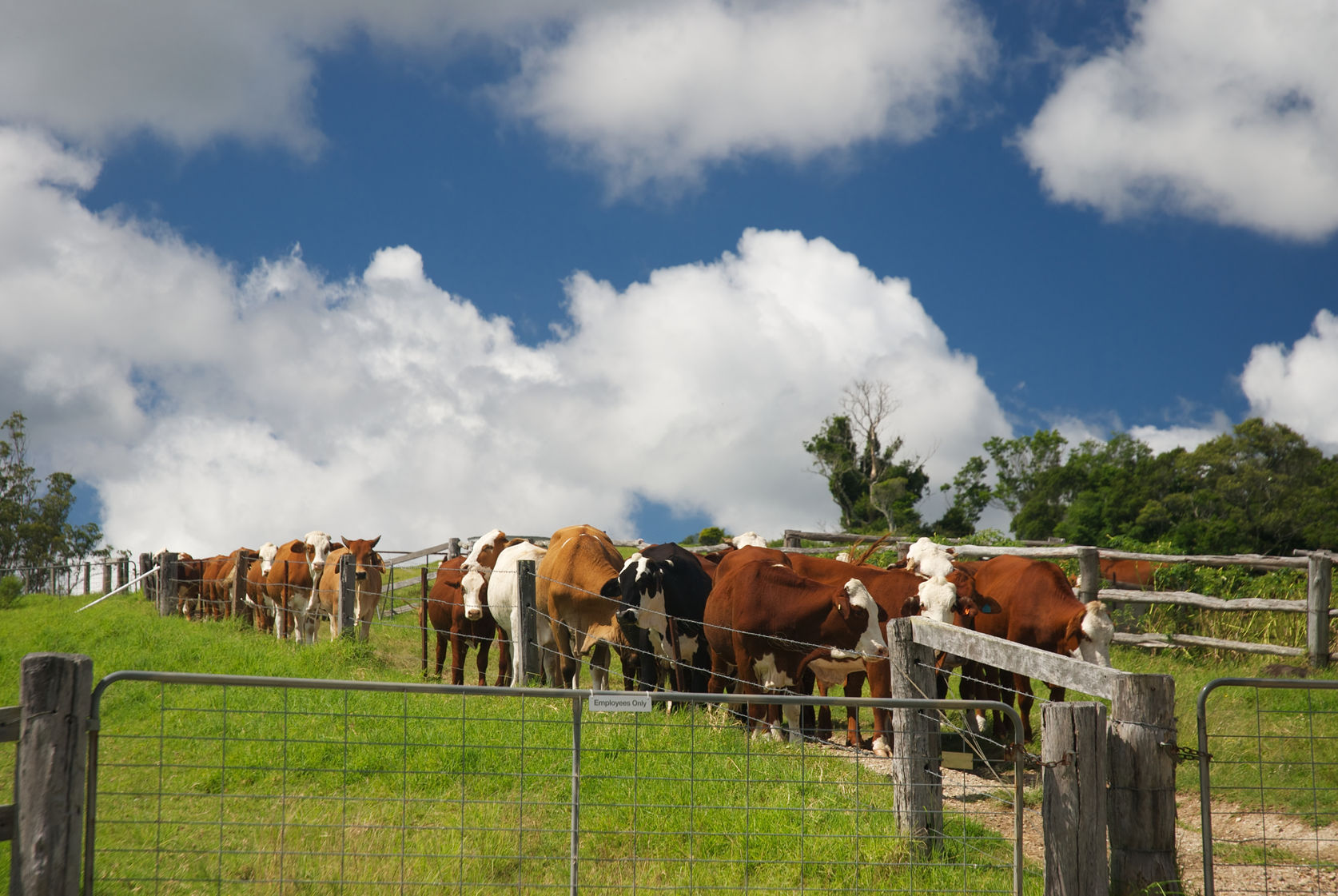 An Australian farm
