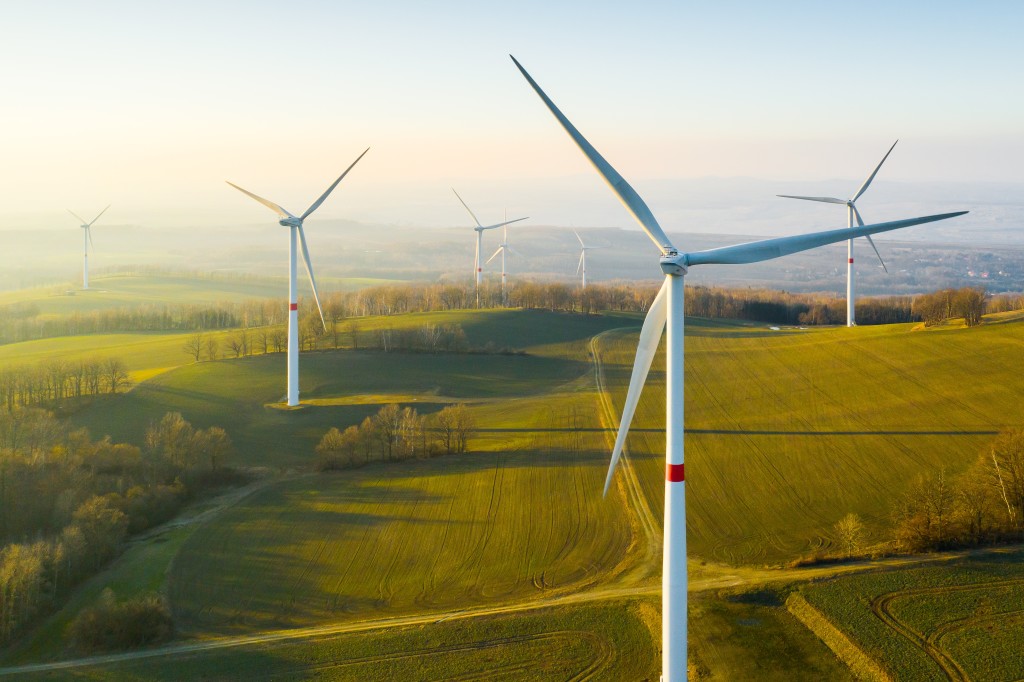 SEA tech companies’ efforts into net zero