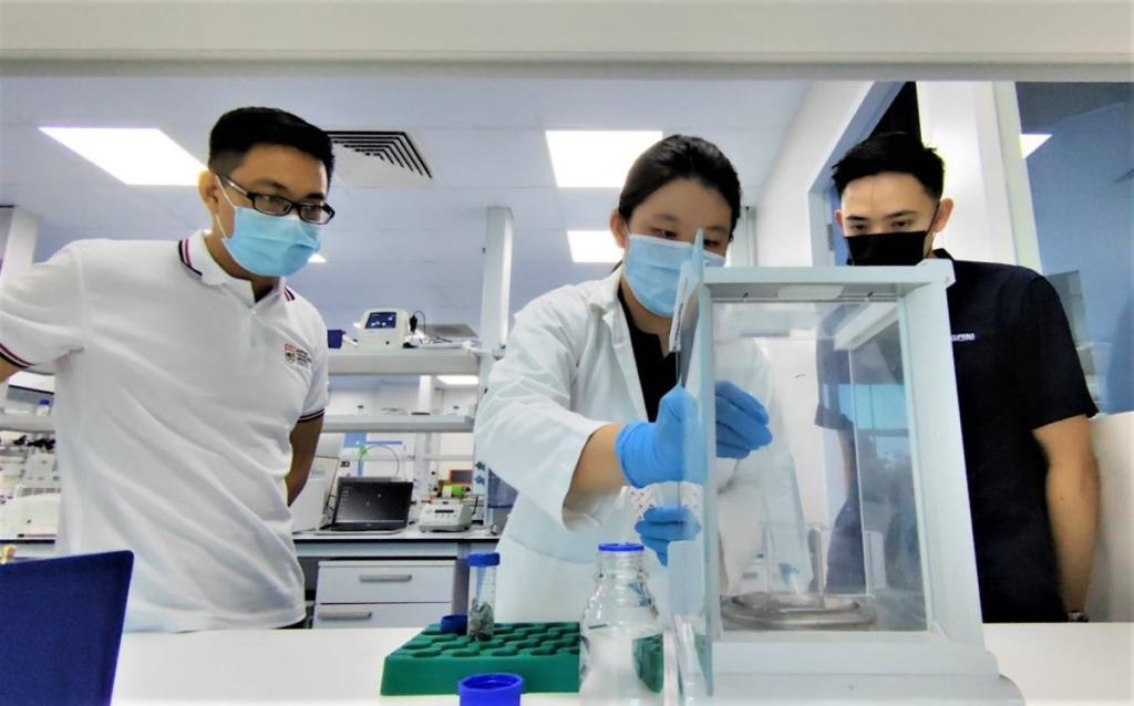 Scientists use collagen from bullfrog skin to heal chronic wounds