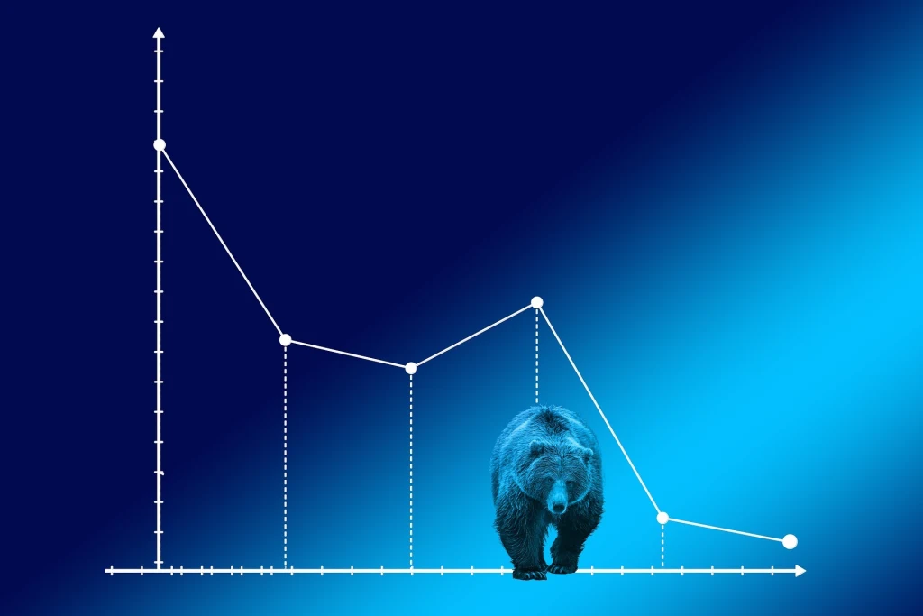 How I learned to stop worrying and love the crypto bear market