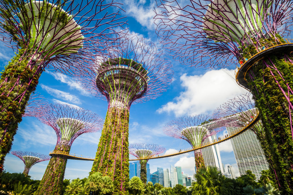 How businesses can become truly energy efficient