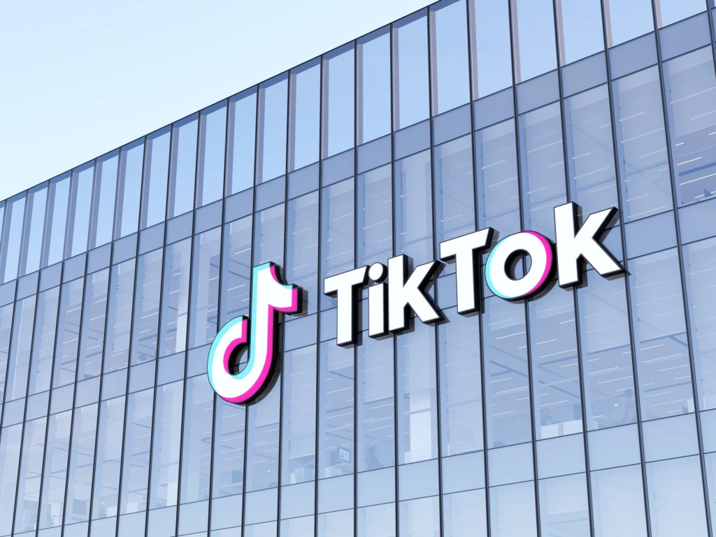 TikTok To Face Probe In Vietnam Over 'harmful Content'