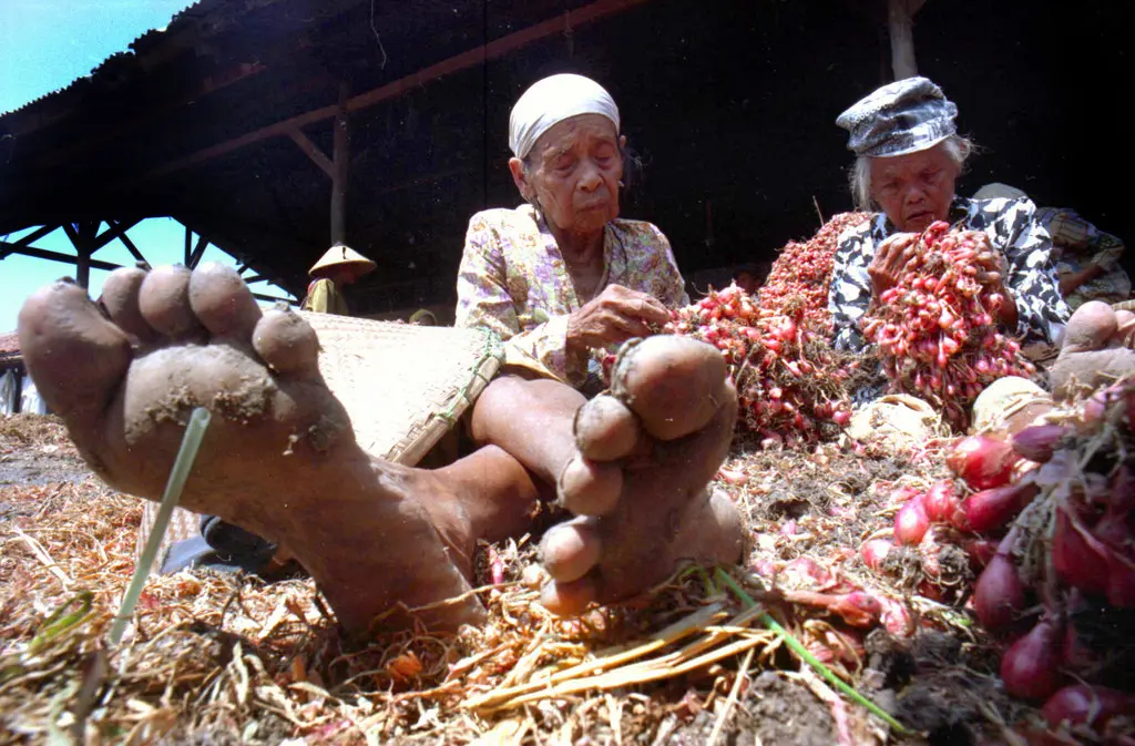 Women sorting onions in Brebes. Photo credit: Firman Wibowo.
