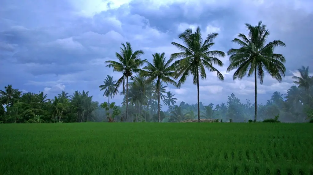 Indonesia village