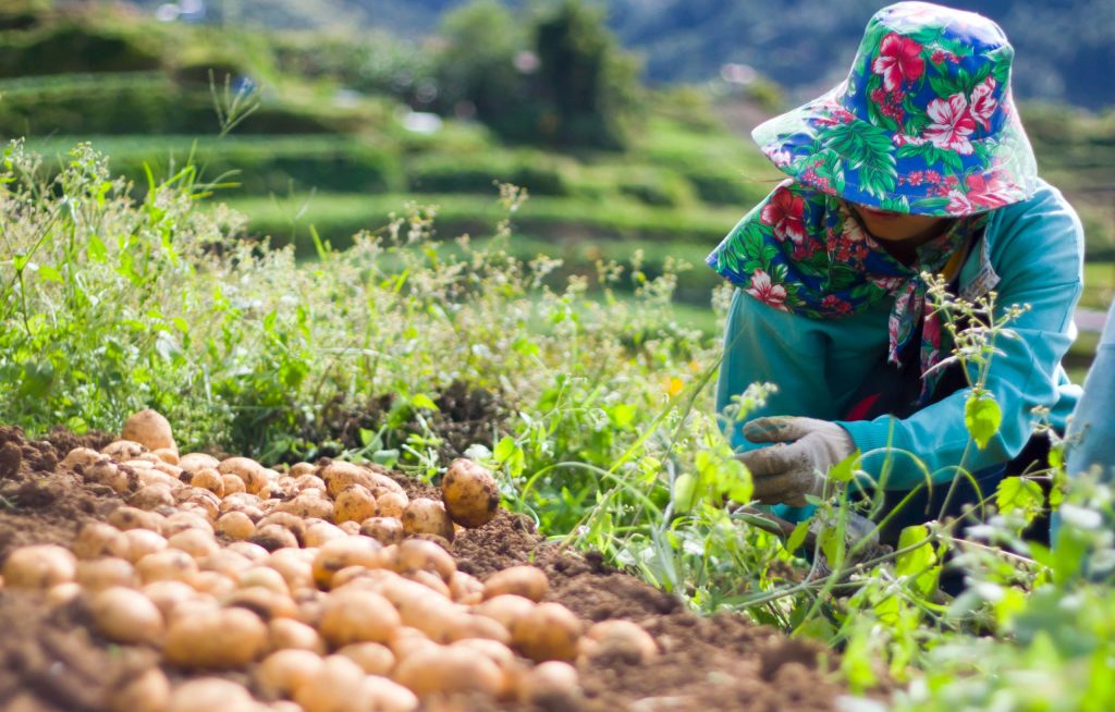 Kita raises 3m to digitalize Philippines' agri supply chain