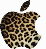 leopard