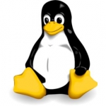 linuxNUS Logo