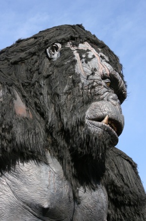 King Kong picture