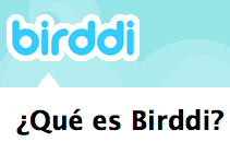 birddi