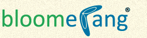 bloomerang-logo