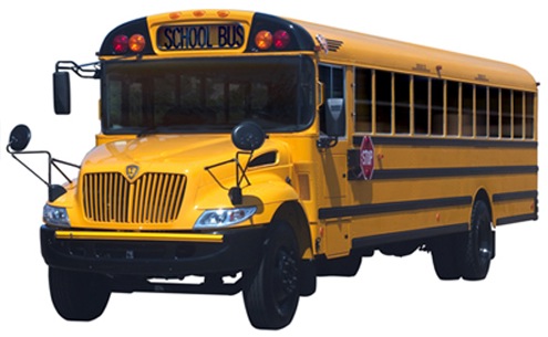 Bus