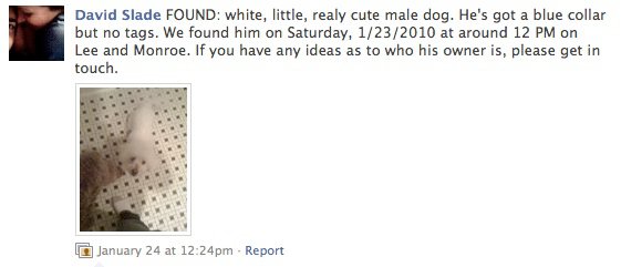 Facebook Lost Dog Facebook Lost Dog