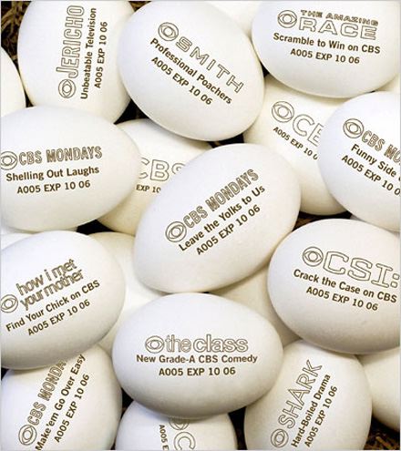 eggs