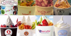 froyo_250xarticleimg