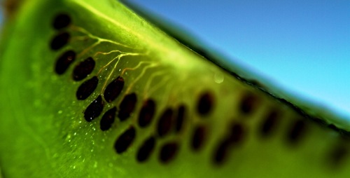 Kiwi Kiwi