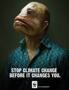 wwf-fish