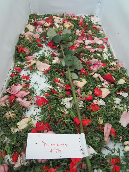 coffin-salingsilang