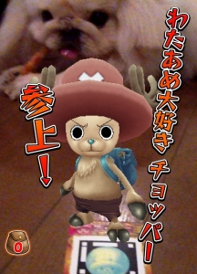 tony-tony-chopper-one-piece tony-tony-chopper-one-piece