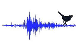 twitter-earthquake