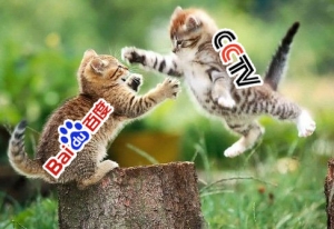 baidu-vs-cctv