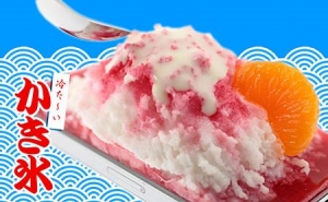 shaved ice shaved ice