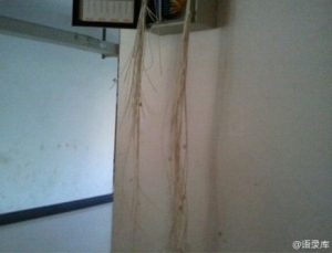cut-cables