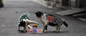baiduattack baiduattack