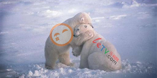 tudou-letv tudou-letv