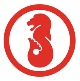 lion-city-badge lion-city-badge