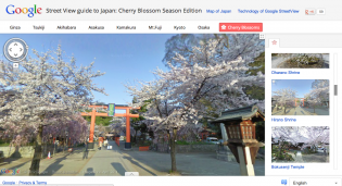 Click to enlarge cherry blossom google