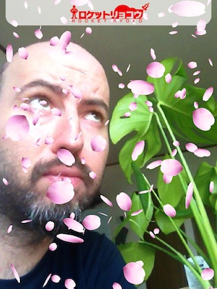 sakura-after sakura-after