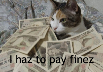 Cat-finez Cat-finez