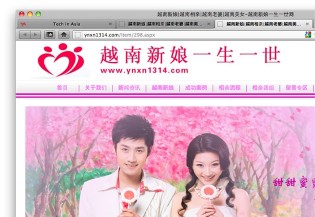 China e-commerce Vietnamese brides 02