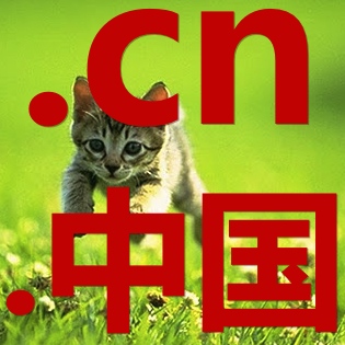'.cn' domain sales